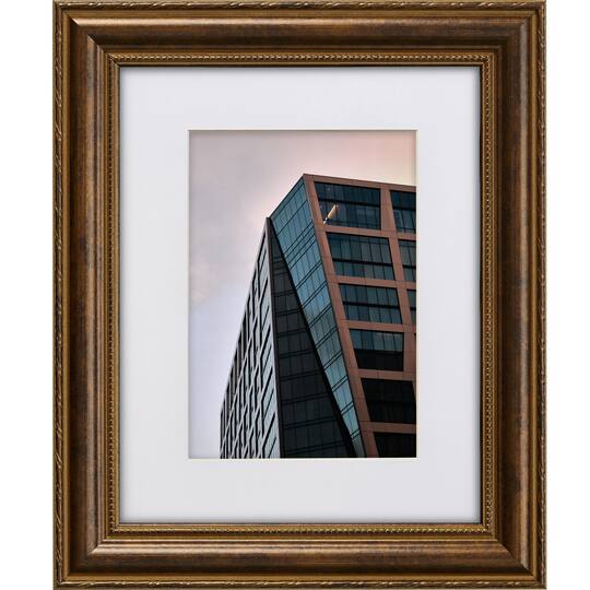 Craig Frames Victoria Ornate Bronze Picture Frame with Mat